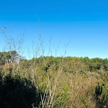 Charmante Maison Neuve En Lisiere De Foret, Cadre Nature Et Proche Ocean * Ondres