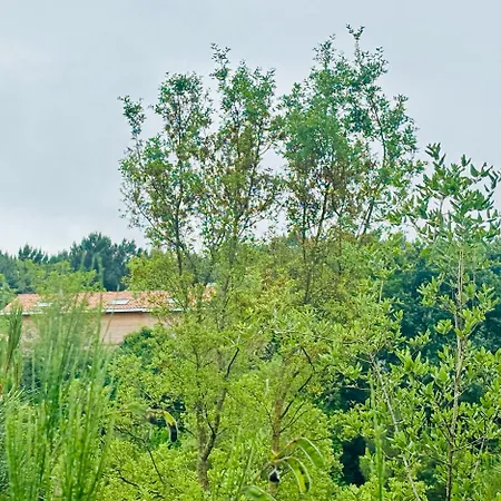 Charmante Maison Neuve En Lisiere De Foret, Cadre Nature Et Proche Ocean Ondres