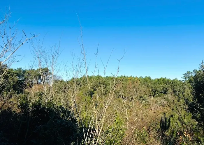 Charmante Maison Neuve En Lisiere De Foret, Cadre Nature Et Proche Ocean * Ondres