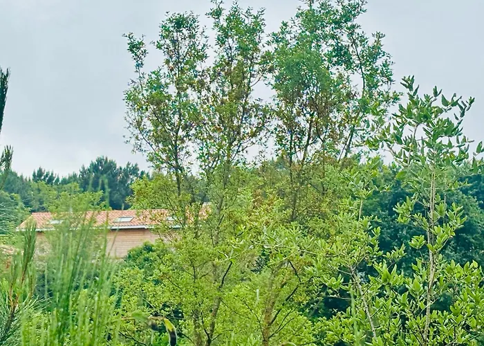 Charmante Maison Neuve En Lisiere De Foret, Cadre Nature Et Proche Ocean Ondres